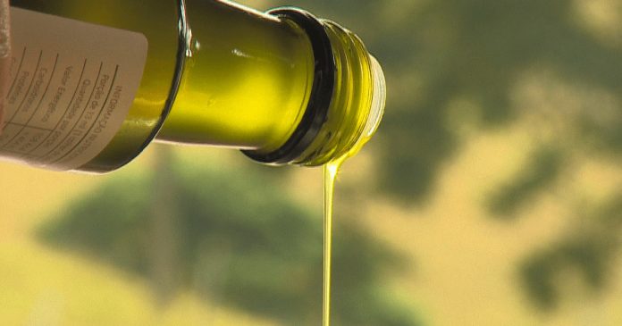 Ministério da Agricultura proíbe venda de 6 marcas de azeites acusadas de fraude. Saiba quais são.