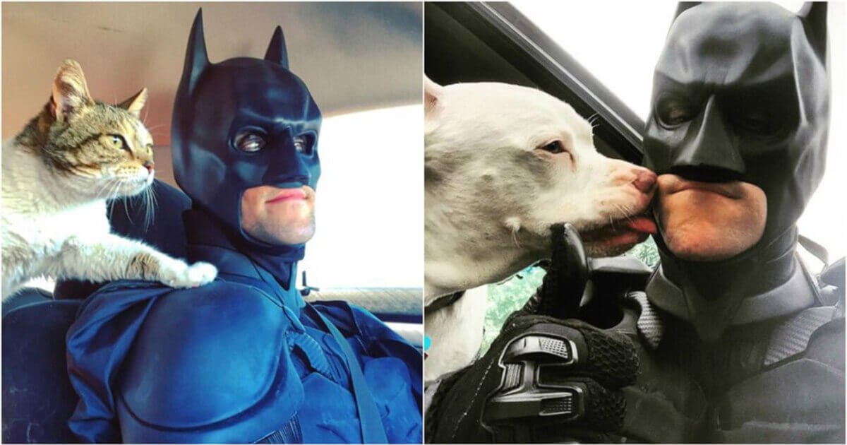 batman-da-vida-real-salva-animais-de-serem-sacrificados-em-abrigos