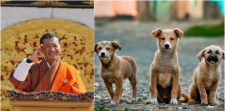 Rei do Butão comemorou aniversário pedindo que cidadãos plantem árvores ou adotem um animal