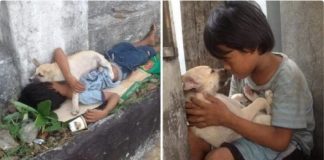 Menino que vive nas ruas adota cachorrinho e lhe dá todo o amor que ele mesmo não recebeu