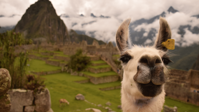 Machu Picchu: Aventura e Misticismo em um Só Destino