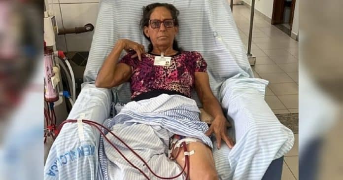 Mulher faz hemodiálise há 20 anos após ser picada por aranha na infância