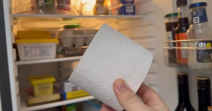 Por que as pessoas estão colocando um rolo de papel higiênico na geladeira?